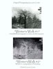 Winters Walk (129kb)