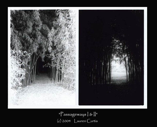 Passageways 35mm B&W Photo