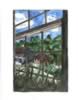 Window View (40kb)